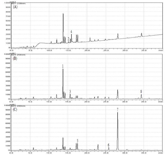 지표성분 정량법 HPLC