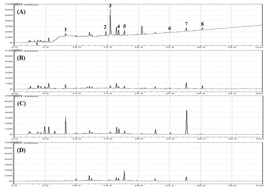 지표성분 정량법 HPLC