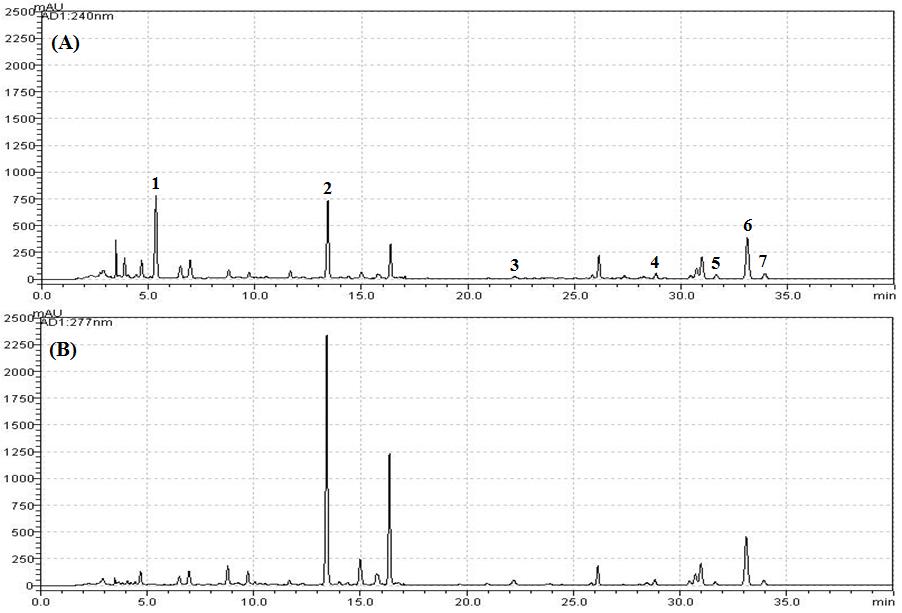 지표성분 정량법 HPLC