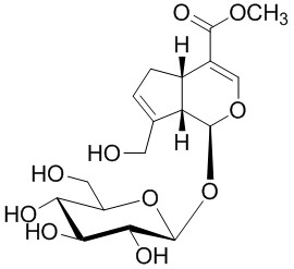 구조식(게니포시드)