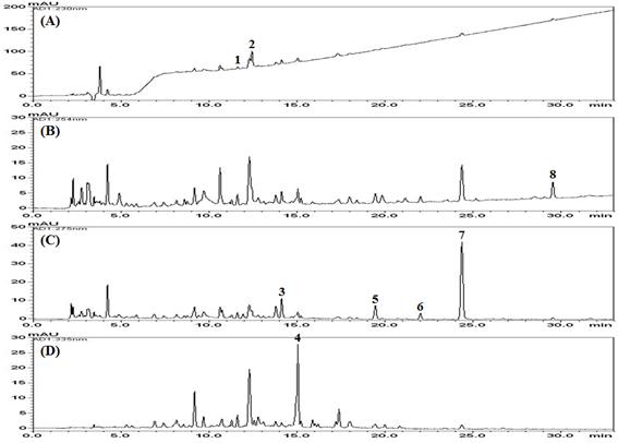 지표성분 정량법 HPLC