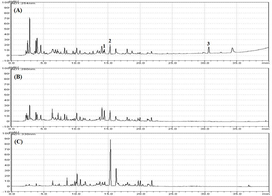 지표성분 정량법 HPLC