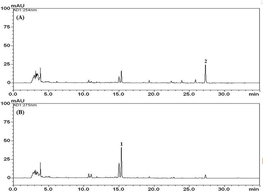 지표성분 정량법 HPLC