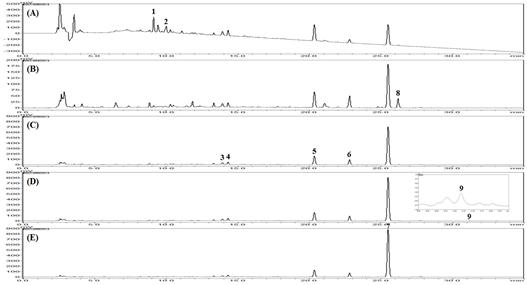 지표성분 정량법 HPLC